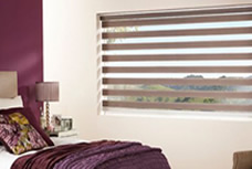 Vision & Day & Night Blinds